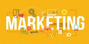 consulente marketing